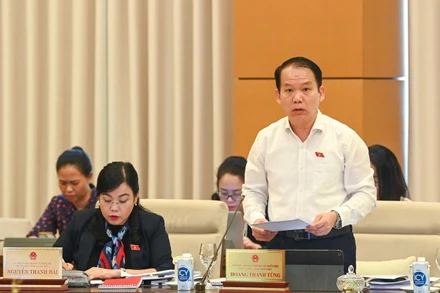 Chủ nhiệm Ủy ban Pháp luật Hoàng Thanh Tùng - Phó Trưởng Đoàn Thường trực Đoàn Giám sát báo cáo tại phiên họp. (Ảnh: DUY LINH)