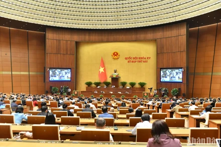 Quang cảnh phiên thảo luận ở hội trường ngày 20/11. (Ảnh: ĐĂNG KHOA)