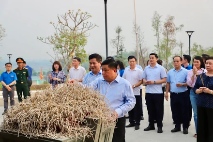 Bộ trưởng Nguyễn Chí Dũng cùng đoàn công tác đến đặt vòng hoa, dâng hương tưởng niệm và tri ân các anh hùng liệt sĩ tại Nghĩa trang Liệt sĩ quốc gia A1.