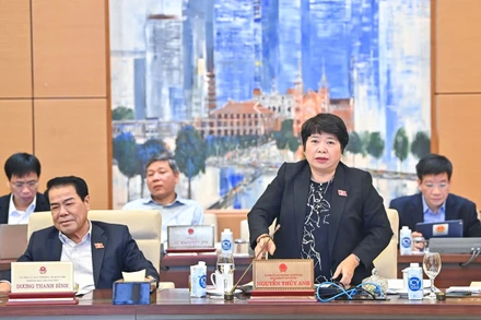 Phó Trưởng Đoàn giám sát, Chủ nhiệm Ủy ban Xã hội của Quốc hội Nguyễn Thúy Anh trình bày báo cáo tại phiên họp sáng 11/4. (Ảnh: DUY LINH)