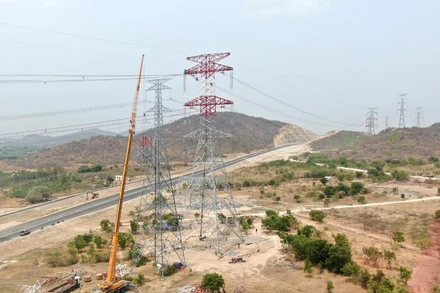 Di dời khoảng cột 34A-35A Đường dây 500kV Vĩnh Tân-rẽ Sông Mây-Tân Uyên. (Ảnh: PTC3)