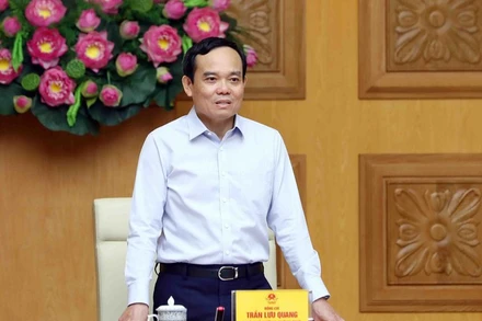 Phó Thủ tướng Trần Lưu Quang phát biểu ý kiến chỉ đạo cuộc họp. 