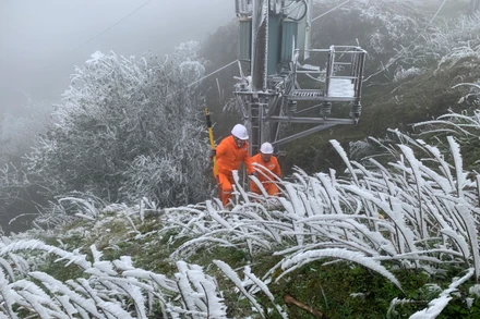 Đỉnh Mẫu Sơn xuất hiện băng giá khiến cho nhiều đường dây, lưới điện và trạm biến áp bị bám đọng băng.