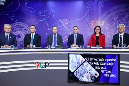 Quang cảnh tọa đàm. (Ảnh: VGP)