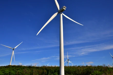 Ảnh minh họa. (Nguồn: ADB)