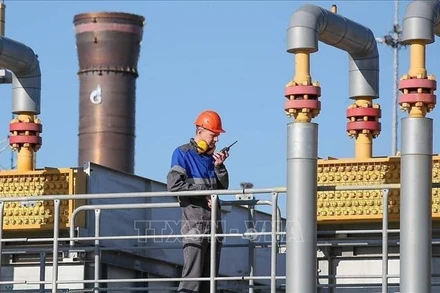 Trạm khí đốt Russkaya ở Krasnodar, miền nam Nga. Ảnh: TASS/TTXVN