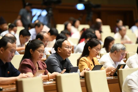 Các đại biểu Quốc hội làm việc tại hội trường, sáng 19/6. (Ảnh: DUY LINH)