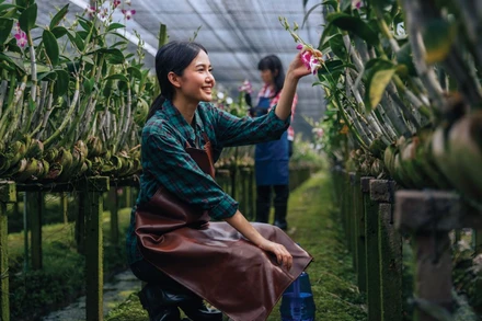 Đông Á-Thái Bình Dương trước thách thức già hóa dân số