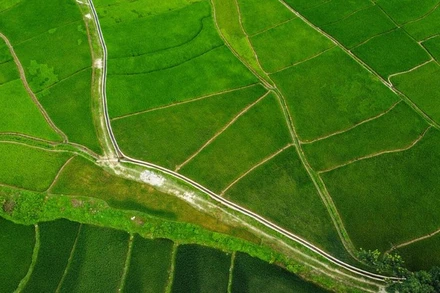 Với kế hoạch sử dụng vốn vừa phê duyệt, ADB hướng tới mục tiêu mở rộng phân bổ và sử dụng vốn, tạo động lực hỗ trợ các quốc gia thành viên đang phát triển giải quyết các ưu tiên cấp thiết. (Ảnh minh họa: ADB) 