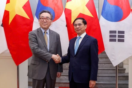 Phó Thủ tướng, Bộ trưởng Ngoại giao Bùi Thanh Sơn hội đàm với Bộ trưởng Ngoại giao Hàn Quốc Cho Tae-yul. (Ảnh: Bộ Ngoại giao) 