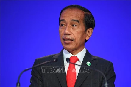 Tổng thống Indonesia Joko Widodo. (Ảnh: AFP/TTXVN)