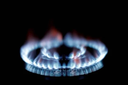 Sử dụng bếp ga trong gia đình tại Nice, Pháp. (Ảnh: AFP/TTXVN)