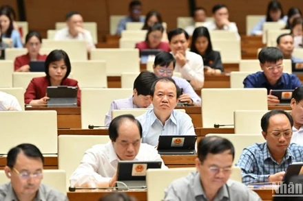 Các đại biểu Quốc hội làm việc tại hội trường. (Ảnh: THỦY NGUYÊN)