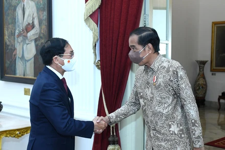 Bộ trưởng Ngoại giao Bùi Thanh Sơn tiếp kiến Tổng thống Indonesia Joko Widodo. (Ảnh: Bộ Ngoại giao)