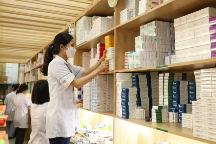 Mục tiêu xây dựng Luật sửa đổi, bổ sung một số điều của Luật Dược nhằm kịp thời tháo gỡ các khó khăn, vướng mắc về thể chế, pháp luật trong hoạt động quản lý thuốc. (Ảnh: TTXVN)