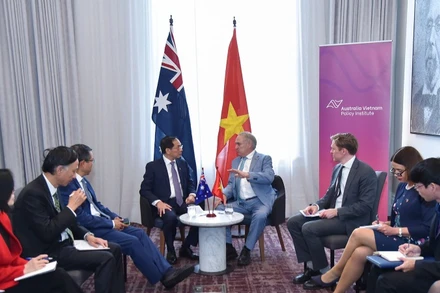 Phó Thủ tướng, Bộ trưởng Ngoại giao Bùi Thanh Sơn gặp Bộ trưởng Thương mại và Du lịch Australia Don Farrell.
