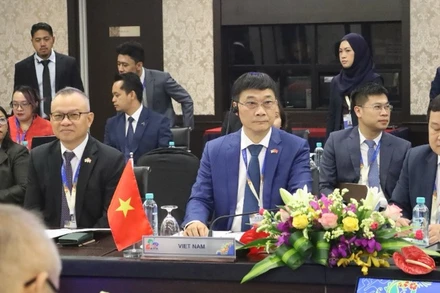 Phó Chủ tịch Quốc hội Vũ Hồng Thanh tham dự phiên họp. (Ảnh: TTXVN) 