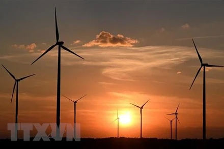 Nhà máy điện gió tại Brandenburg, Đức. (Ảnh: AFP/TTXVN)