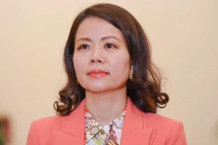 Thứ trưởng Ngoại giao Nguyễn Minh Hằng. (Ảnh: Báo Thế giới và Việt Nam) 