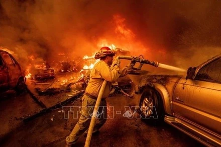 Lính cứu hỏa nỗ lực dập lửa cháy rừng tại Altadena, California, Hoa Kỳ. (Ảnh: AP/TTXVN) 