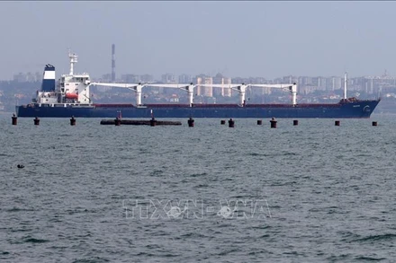 Chuyến tàu đầu tiên chở ngũ cốc của Ukraine rời cảng Odessa ngày 1/8/2022. (Ảnh: AFP/TTXVN)