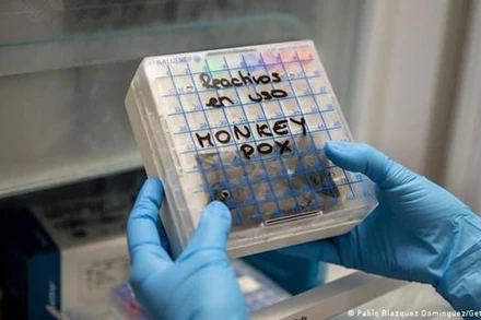 (Ảnh minh họa: Getty images) 