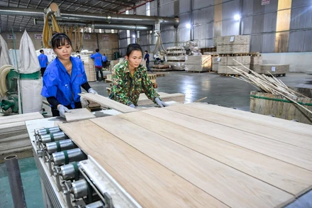 Bên cạnh thúc đẩy đáng kể xuất khẩu của Việt Nam sang châu Âu, EVFTA cũng giúp củng cố sức hấp dẫn của Việt Nam đối với các nhà đầu tư châu lục này. (Ảnh minh họa: THÀNH ĐẠT)