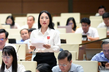 Đại biểu Trần Khánh Thu (Đoàn Thái Bình) phát biểu. (Ảnh: DUY LINH) 