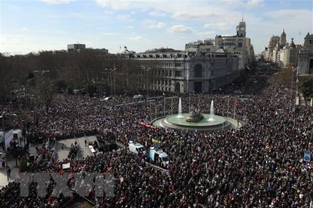 Người dân tham gia biểu tình yêu cầu tăng cường đầu tư cho dịch vụ y tế công, tại Madrid, Tây Ban Nha, ngày 12/2/2023. (Ảnh: AFP/TTXVN)