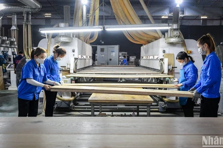 Doanh nghiệp châu Âu lạc quan về kinh tế Việt Nam. (Ảnh minh họa: THÀNH ĐẠT)