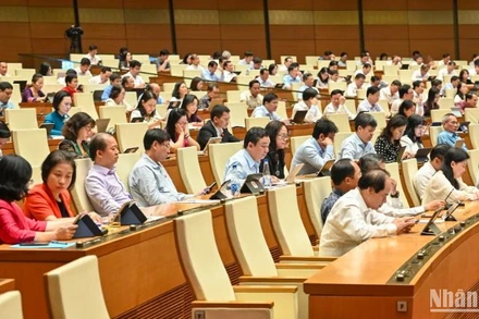 Các đại biểu dự phiên họp. (Ảnh: BÙI GIANG) 