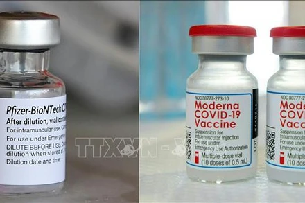 Vaccine ngừa Covid-19 của Moderna và Pfizer/BioNTech. (Ảnh: AFP/TTXVN)