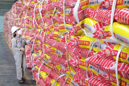 Sản xuất phân bón tại Tổng Công ty Phân bón và Hóa chất Dầu khí (PVFCCo).