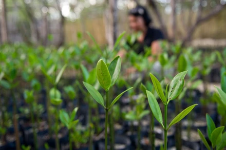 Ảnh minh họa: ADB