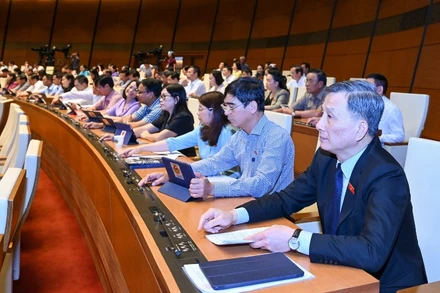 Các đại biểu Quốc hội biểu quyết thông qua Luật Hợp tác xã (sửa đổi). (Ảnh: DUY LINH)