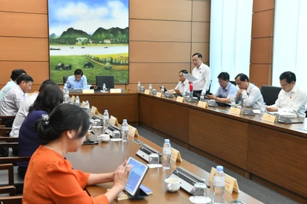 Đại biểu Quốc hội đề nghị cân nhắc áp dụng thuế giá trị gia tăng đối với phân bón 