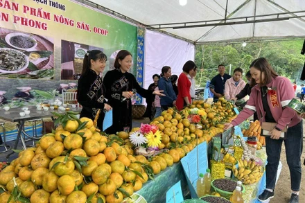 Gian hàng giới thiệu sản phẩm cam, quýt tới du khách. 