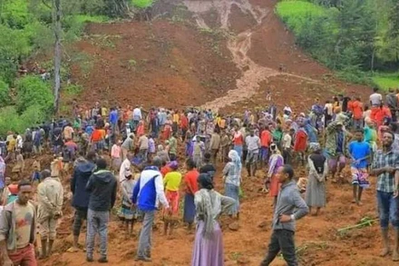 Bức ảnh được EBC chia sẻ trên Facebook cho thấy nhiều người đang tìm kiếm nạn nhân bị vùi lấp do lở đất trên sườn đồi trống ở Gofa, miền nam Ethiopia. (Ảnh: Facebook EBC) 