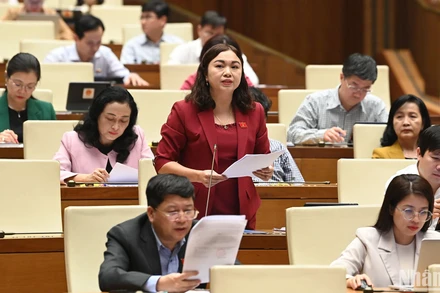 Đại biểu Đặng Bích Ngọc - Đoàn đại biểu Quốc hội tỉnh Hòa Bình phát biểu. (Ảnh: THỦY NGUYÊN) 