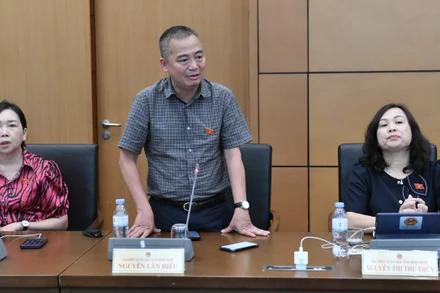 Đại biểu Nguyễn Lân Hiếu (Bình Định) phát biểu. (Ảnh: ĐĂNG KHOA)