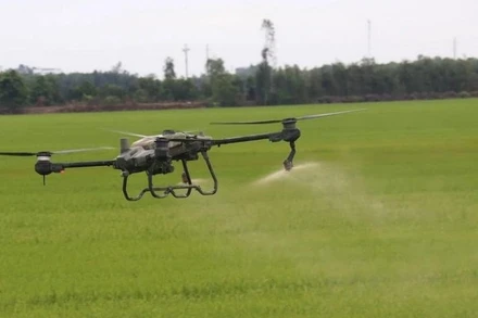 Thiết bị bay không người lái phun thuốc bảo vệ thực vật trên cánh đồng lúa xã Tân Nghĩa, huyện Cao Lãnh, Đồng Tháp. (Ảnh minh họa: TTXVN) 