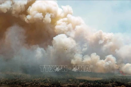 Máy bay dập lửa cháy rừng ở hạt Shelburne, Canada ngày 31/5/2023. (Ảnh: THX/TTXVN)