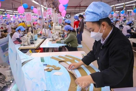 Công nhân sản xuất hàng may mặc tại Công ty Cổ phần Dệt May 29/3. (Ảnh minh họa: TTXVN) 