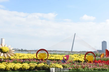 Giọt nhớ thiên thanh với hoa cỏ mùa xuân thành phố.