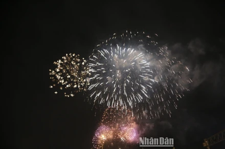 Màn bắn pháo hoa rực rỡ trong đêm giao thừa.