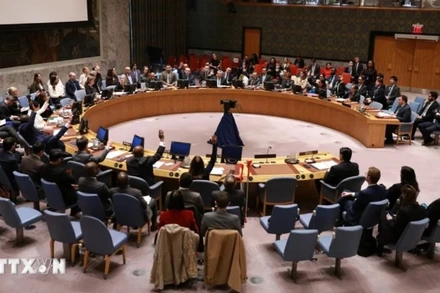 Một cuộc họp của Hội đồng Bảo an. (Ảnh: THX/TTXVN)