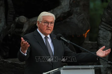 Tổng thống Đức Frank-Walter Steinmeier. (Ảnh tư liệu: PAP/TTXVN)