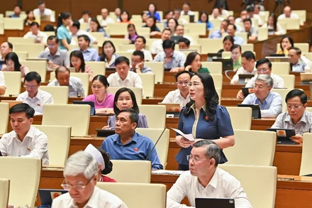 Đại biểu Nguyễn Thị Thủy - Đoàn đại biểu Quốc hội tỉnh Bắc Kạn phát biểu tại phiên thảo luận sáng 31/5. (Ảnh: DUY LINH)