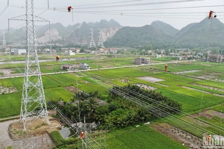 Thi công dự án đường dây 500kV mạch 3 trên địa bàn tỉnh Thanh Hóa. (Ảnh: TUẤN HUY)