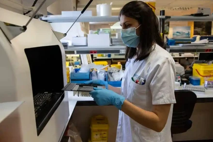 Xét nghiệm các mẫu bệnh phẩm nghi ngờ nhiễm virus đậu mùa ở khỉ ở Madrid, Tây Ban Nha. (Ảnh: Getty Images)